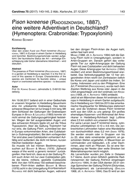 Pison Koreense (Radoszkowski, 1887), Eine Weitere Adventivart in Deutschland? (Hymenoptera: Crabronidae: Trypoxylonini)