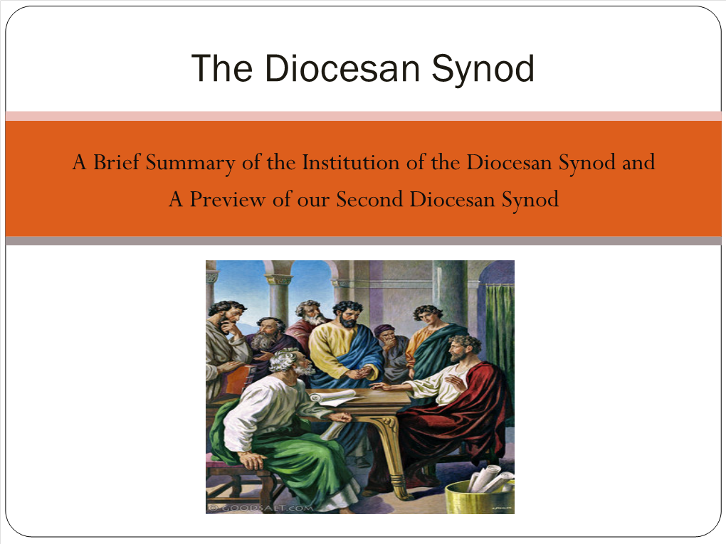 The Diocesan Synod