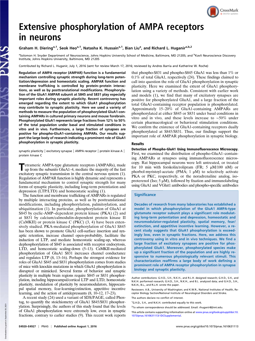 Extensive Phosphorylation of AMPA Receptors in Neurons