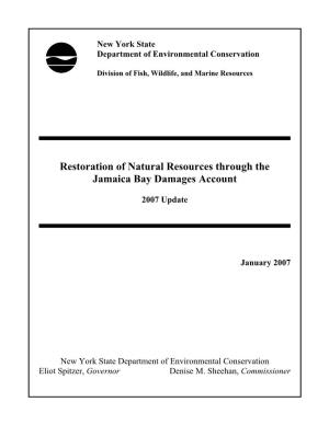 Restoration of Natural Resources Through the Jamaica Bay Damages Account