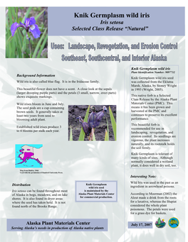 Knik Germplasm Wild Iris Iris Setosa Selected Class Release “Natural”