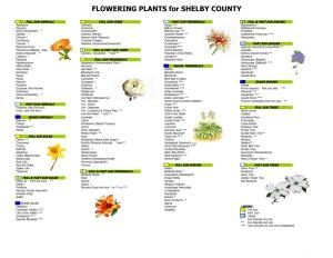 FLOWERING PLANTS for SHELBY COUNTY