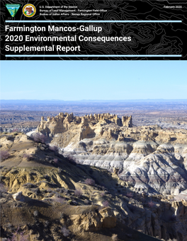 Farmington Mancos-Gallup 2020 Environmental Consequences Supplemental Report