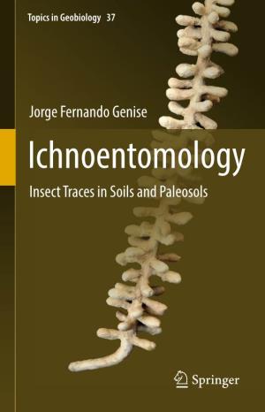 Ichnoentomology Insect Traces in Soils and Paleosols Topics in Geobiology