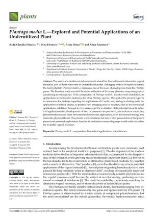 Plantago Media L.—Explored and Potential Applications of an Underutilized Plant
