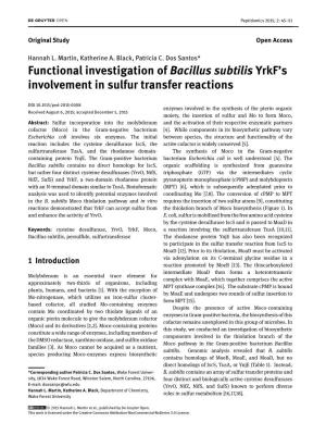 Functional Investigation of Bacillus Subtilis Yrkf's Involvement in Sulfur