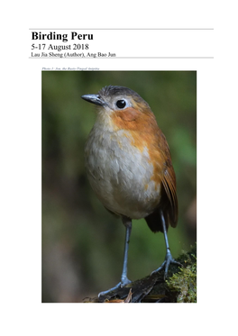 Birding Peru 5-17 August 2018 Lau Jia Sheng (Author), Ang Bao Jun