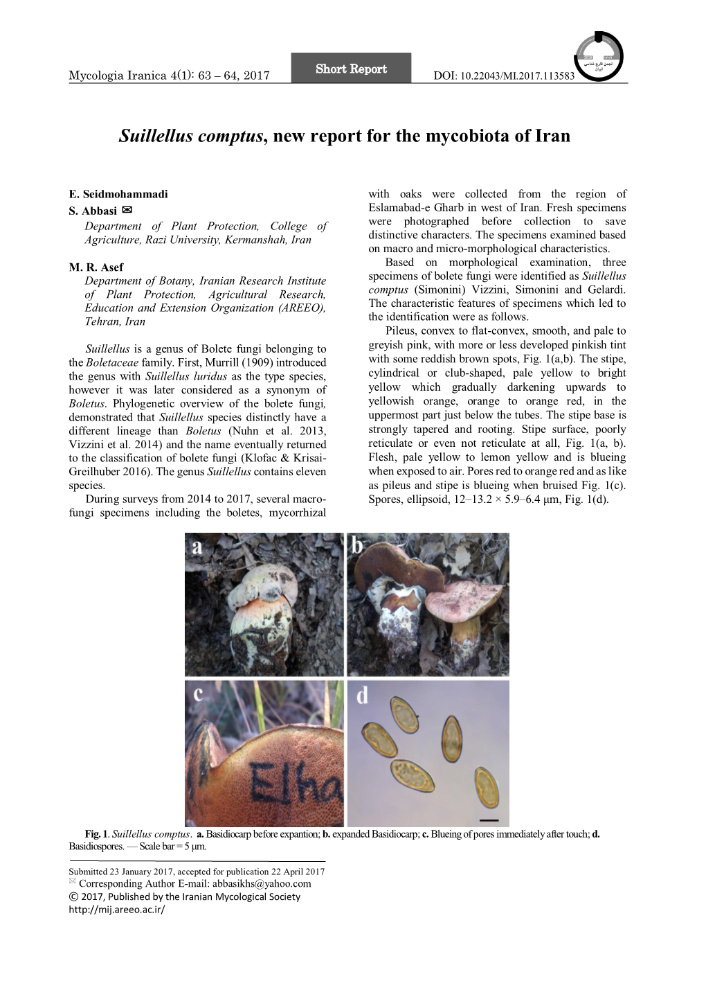 Suillellus Comptus, New Report for the Mycobiota of Iran