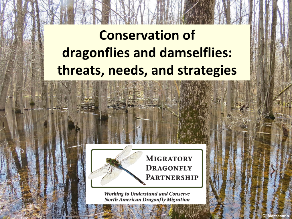 Conserving Odonate Biodiversity