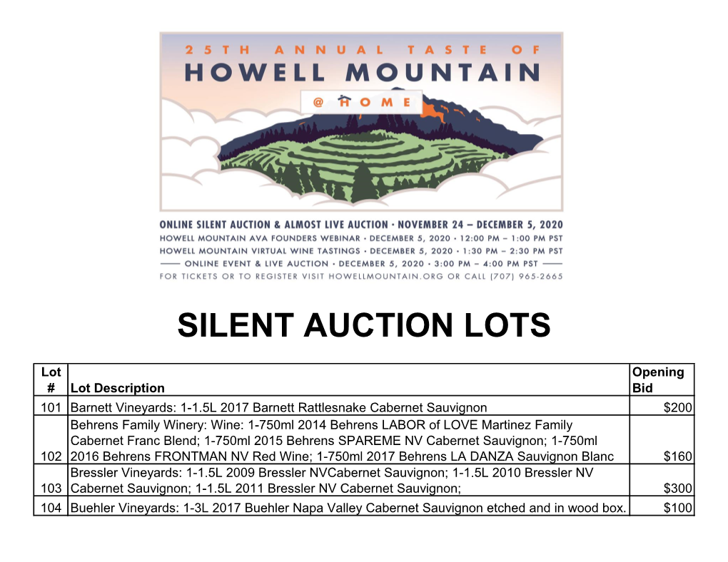 Silent Auction Lots