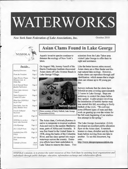 Asian Clams Found in Lake George
