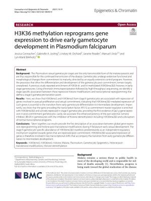 H3K36 Methylation Reprograms Gene Expression to Drive Early Gametocyte Development in Plasmodium Falciparum Jessica Connacher1, Gabrielle A