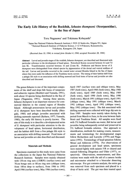 The Early Life History of the Rockfish, Sebastes Thompsoni (Scorpaenidae), in the Sea of Japan