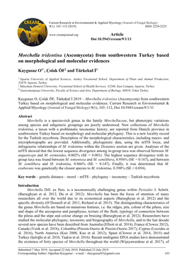 Morchella Tridentina (Ascomycota) from Southwestern Turkey Based on Morphological and Molecular Evidences