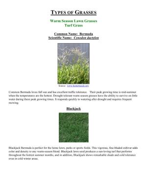 Types-Of-Grasses.Pdf