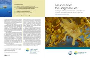 Lessons from the Sargasso Sea Sargasso Sea Commission