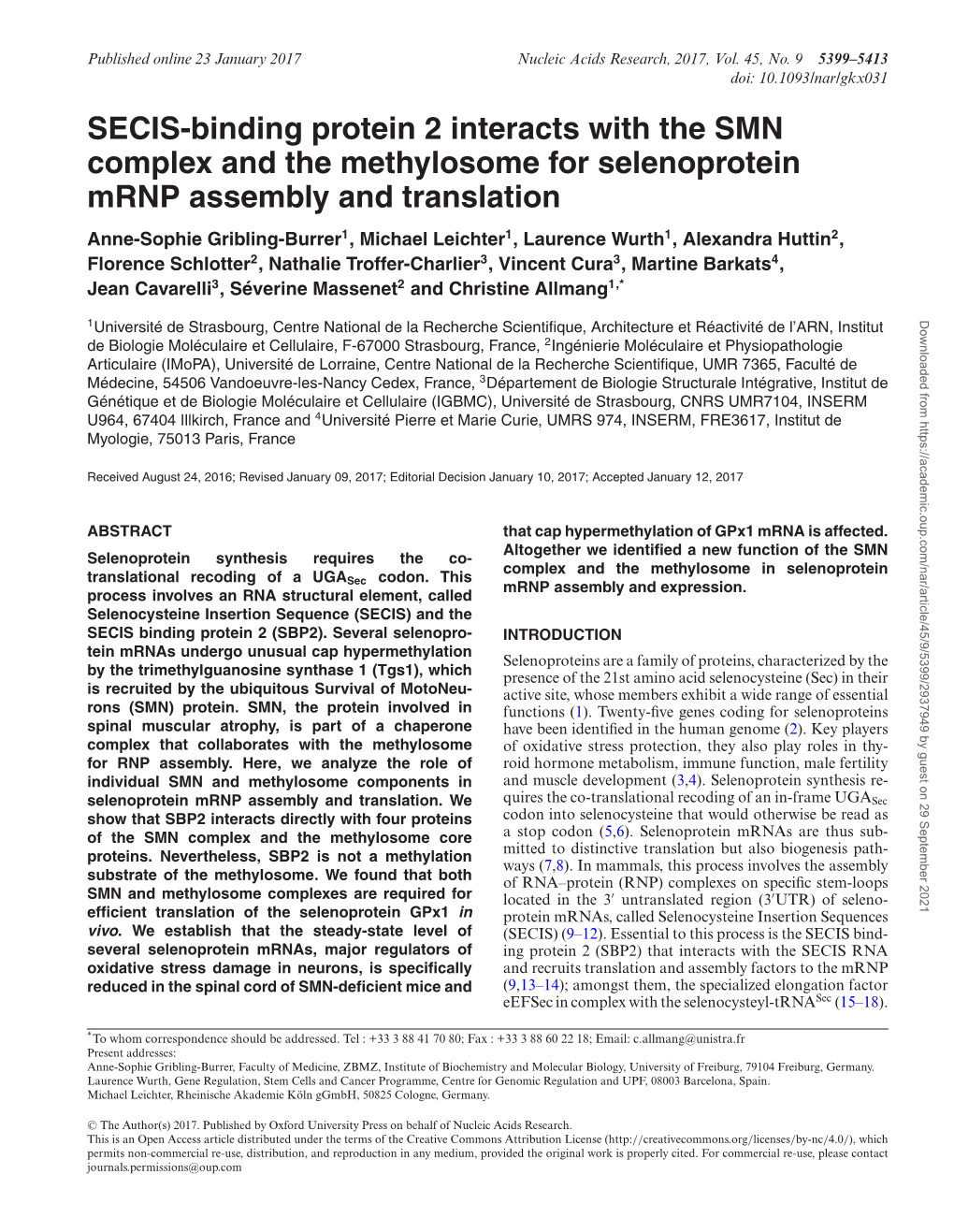 SECIS-Binding Protein 2 Interacts with the SMN Complex and The