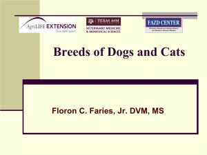 Breeds of Cats and Dogs