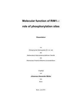 Molecular Function of Rim1α: Role of Phosphorylation Sites
