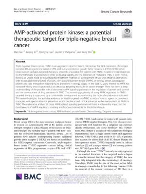 AMP-Activated Protein Kinase: a Potential Therapeutic Target for Triple