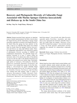 Recovery and Phylogenetic Diversity of Culturable Fungi Associated with Marine Sponges Clathrina Luteoculcitella and Holoxea Sp