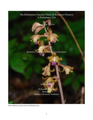 The Herbaceous Vascular Plants of Blackacre Preserve a Preliminary List