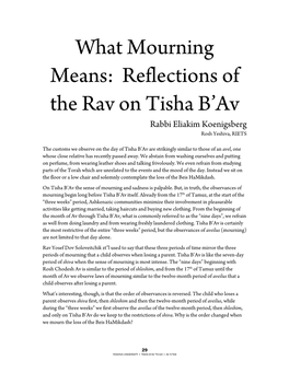 What Mourning Means: Reflections of the Rav on Tisha B'av