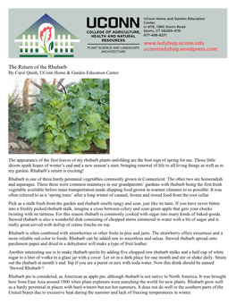 The Return of the Rhubarb by Carol Quish, Uconn Home & Garden Education Center