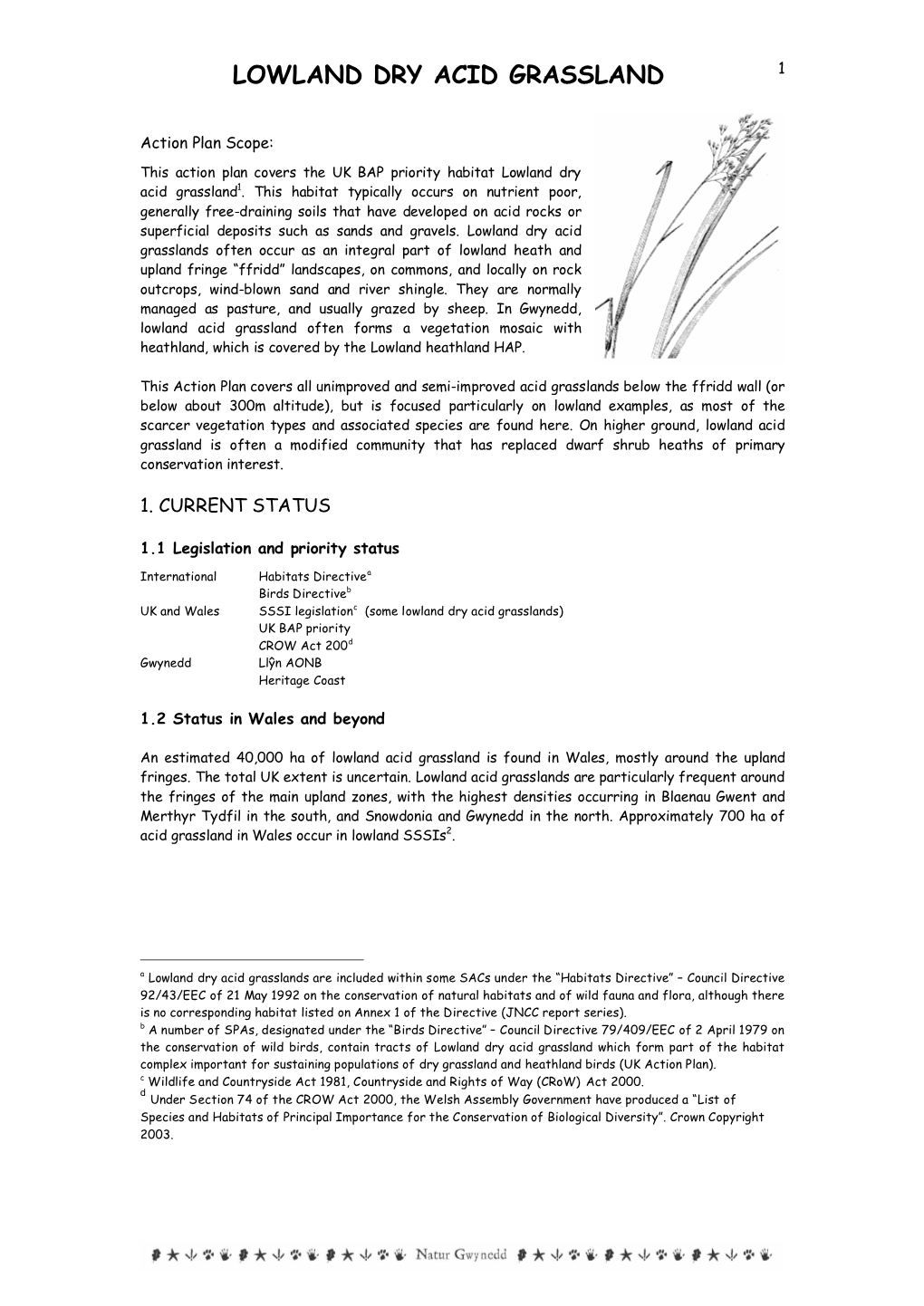 Lowland Dry Acid Grassland 1