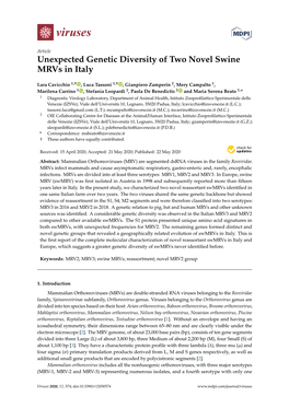 Unexpected Genetic Diversity of Two Novel Swine Mrvs in Italy