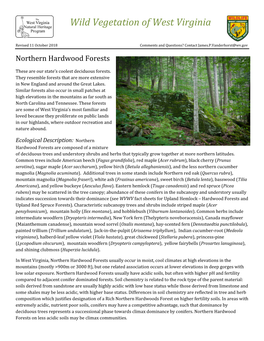 Northern Hardwoods Forest on Higher Fertility Soils