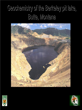 Geochemistry of the Berkeley Pit Lake, Butte, Montana