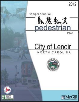 Comprehensive Pedestrian Plan