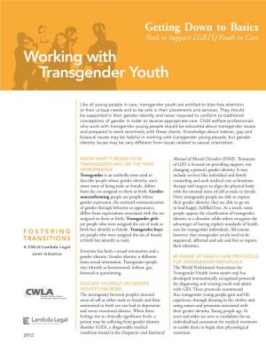 Working with Transgender Youth