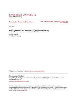 Phylogenetics of Alooideae (Asphodelaceae)