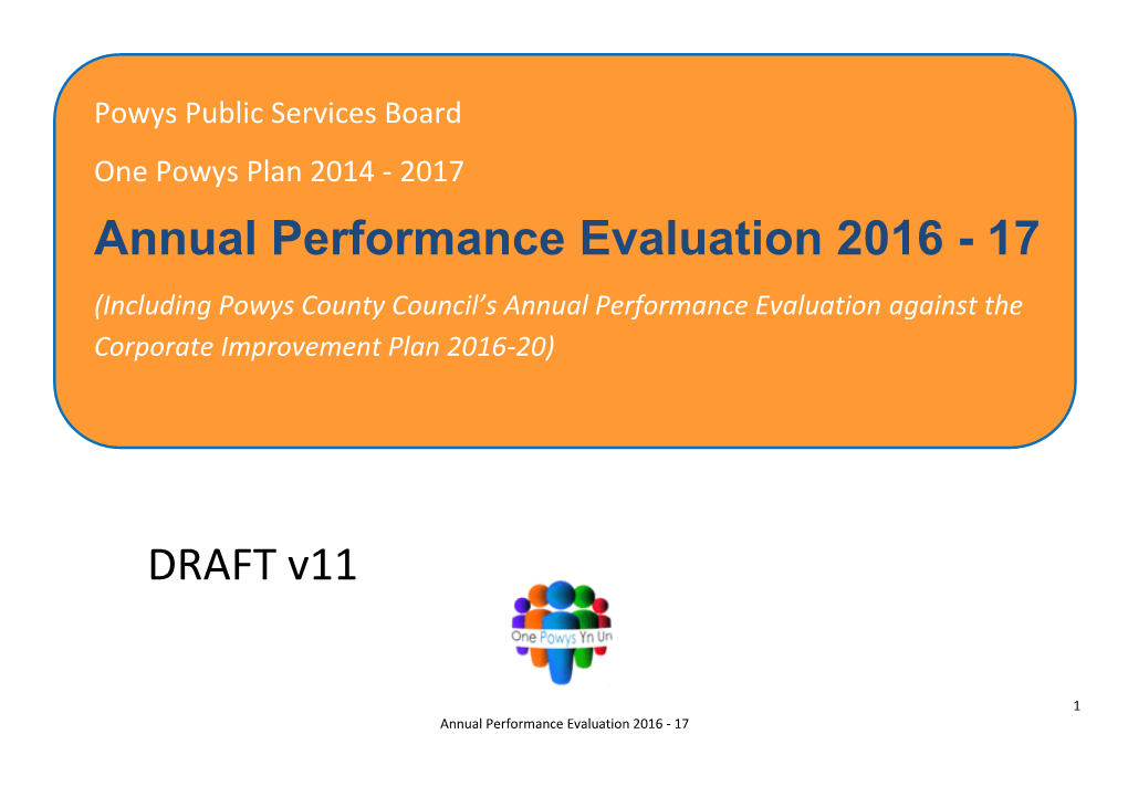 DRAFT V11 Annual Performance Evaluation 2016