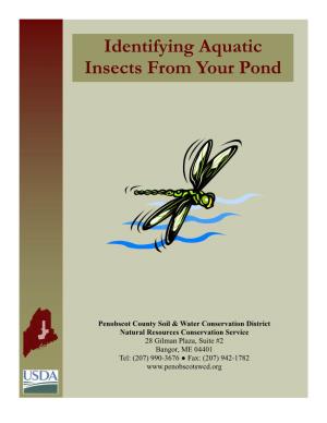 Identifying Aquatic Insects from Your Pond
