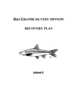 Rio Grande Silvery Minnow Recovery Plan