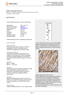 F2RL2 Antibody (N-Term) Affinity Purified Rabbit Polyclonal Antibody (Pab) Catalog # Ap12288a