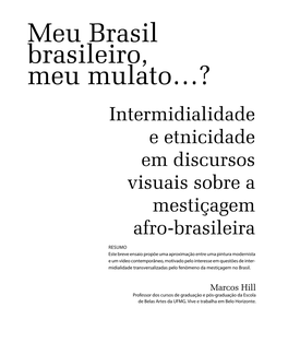 Meu Brasil Brasileiro, Meu Mulato…? Intermidialidade E Etnicidade Em Discursos Visuais Sobre a Mestiçagem Afro-Brasileira