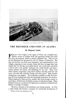 The Reindeer Industry in Alaska