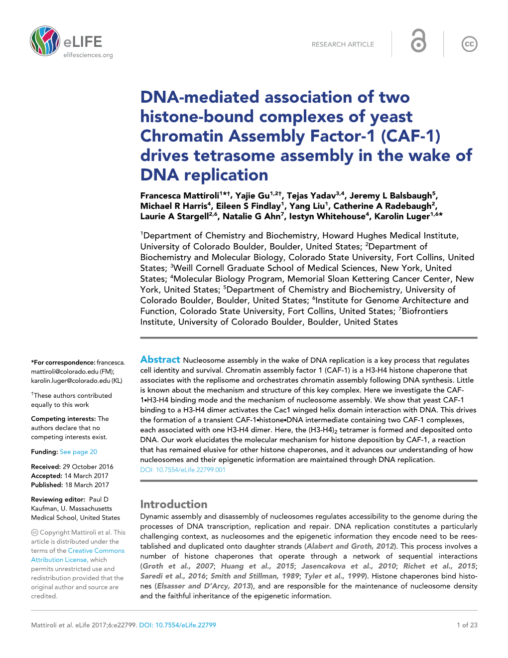 DNA-Mediated Association of Two Histone-Bound
