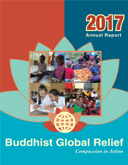 2017 Annual Report