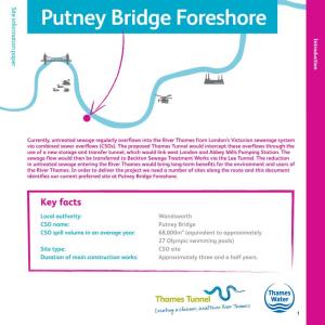 Putney Bridge Foreshore