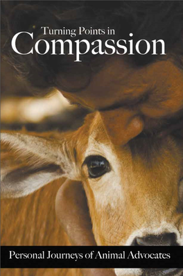 Turning Points in Compassion