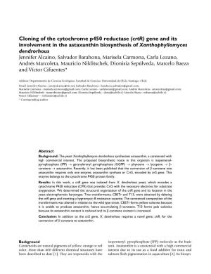 Cloning of the Cytochrome P450 Reductase (Crtr) Gene and Its