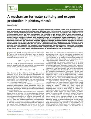 A Mechanism for Water Splitting and Oxygen Production in Photosynthesis James Barber*