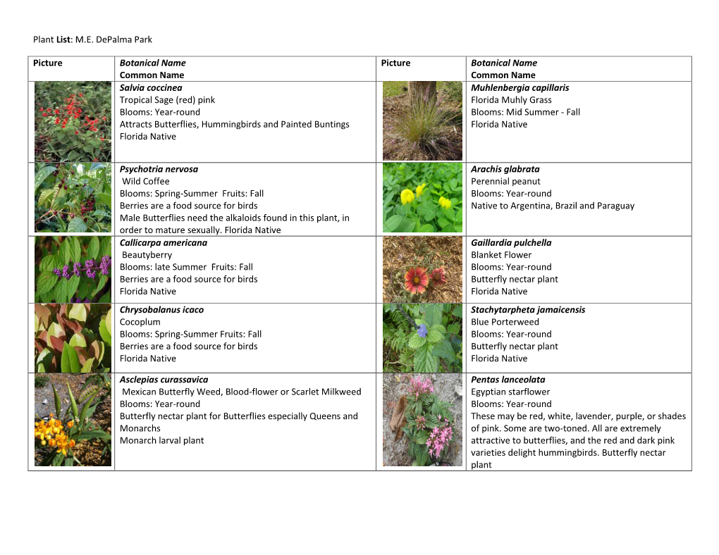 Plant List: M.E. Depalma Park Picture Botanical Name Common Name Picture Botanical Name Common Name Salvia Coccinea Tropical