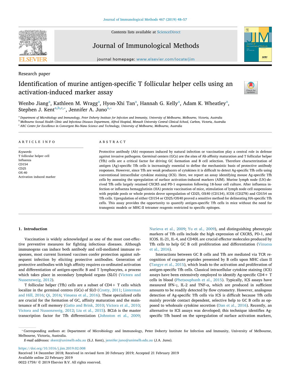 Identification of Murine Antigen-Specific T Follicular Helper