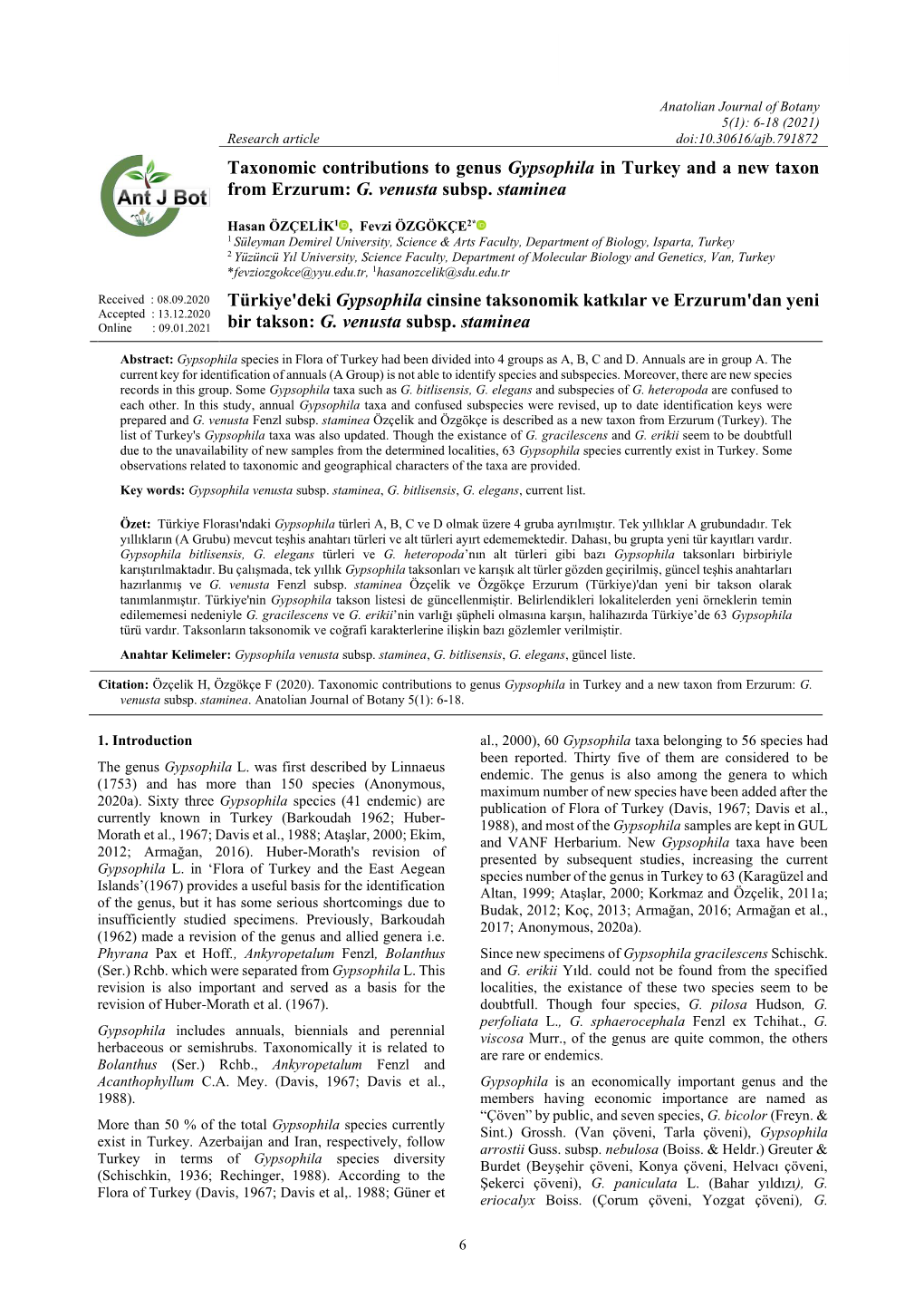 Taxonomic Contributions to Genus Gypsophila in Turkey and a New Taxon from Erzurum: G